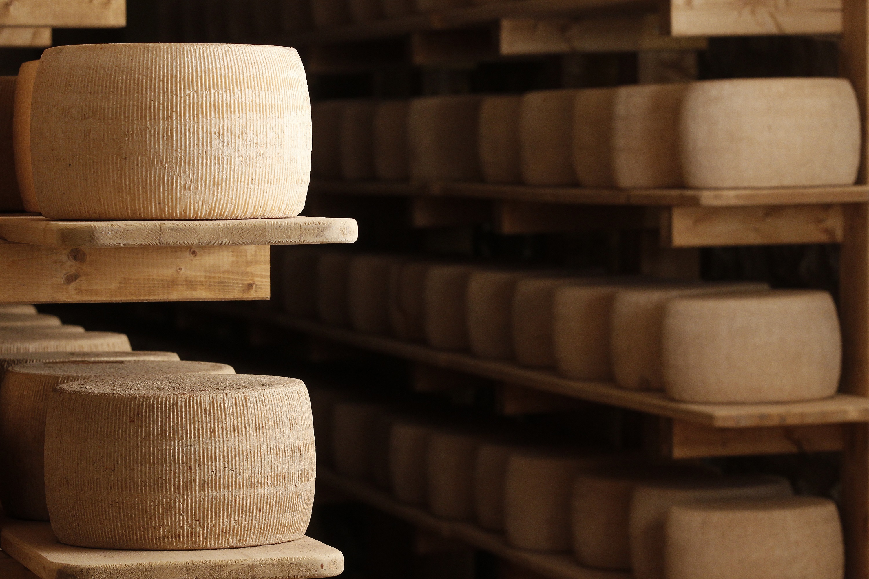 Come conservare il formaggio: due consigli pratici per il consumatore  buongustaio - 'Gusto